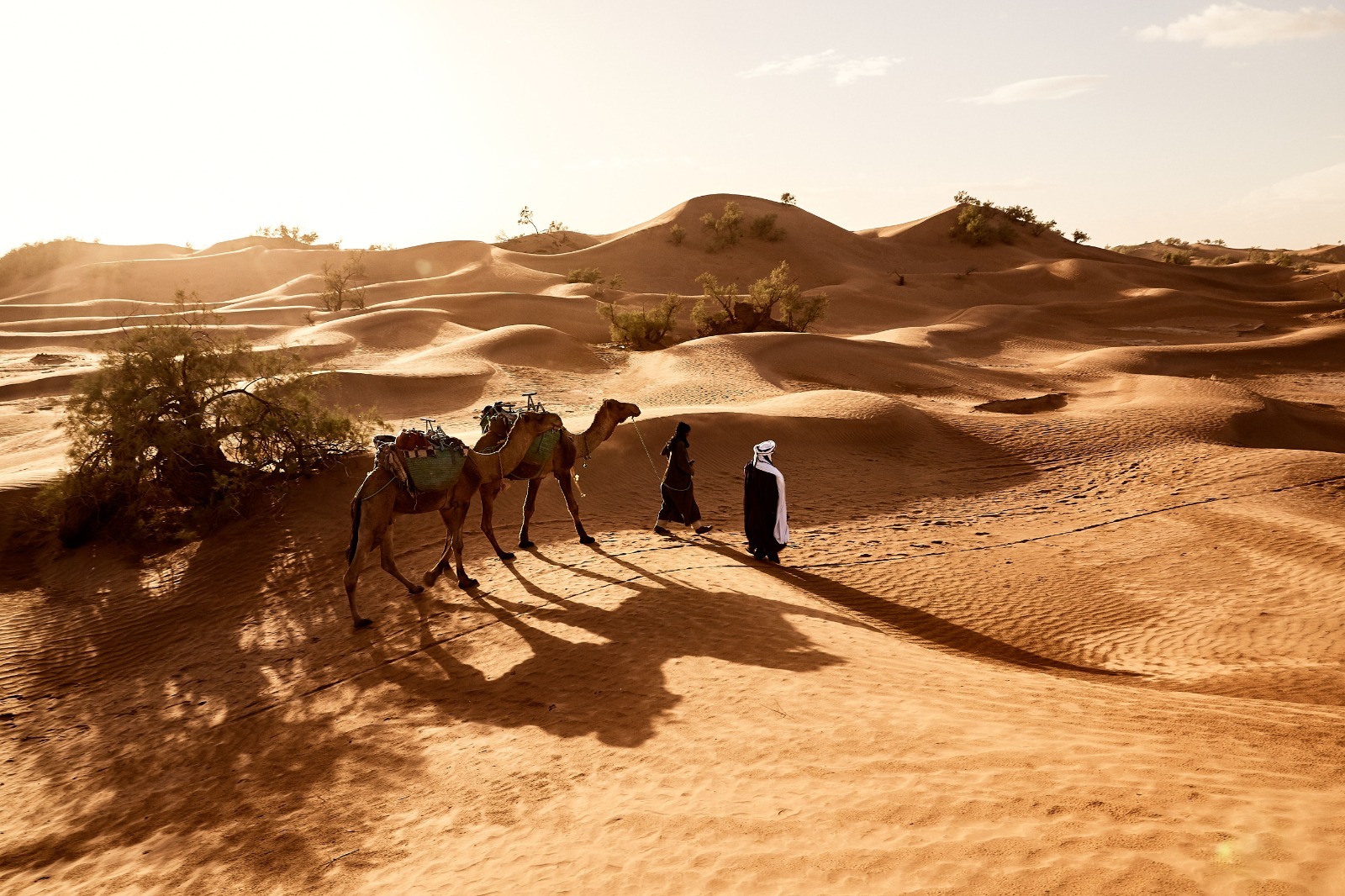 Dubai skyline with luxury travel and tour packages