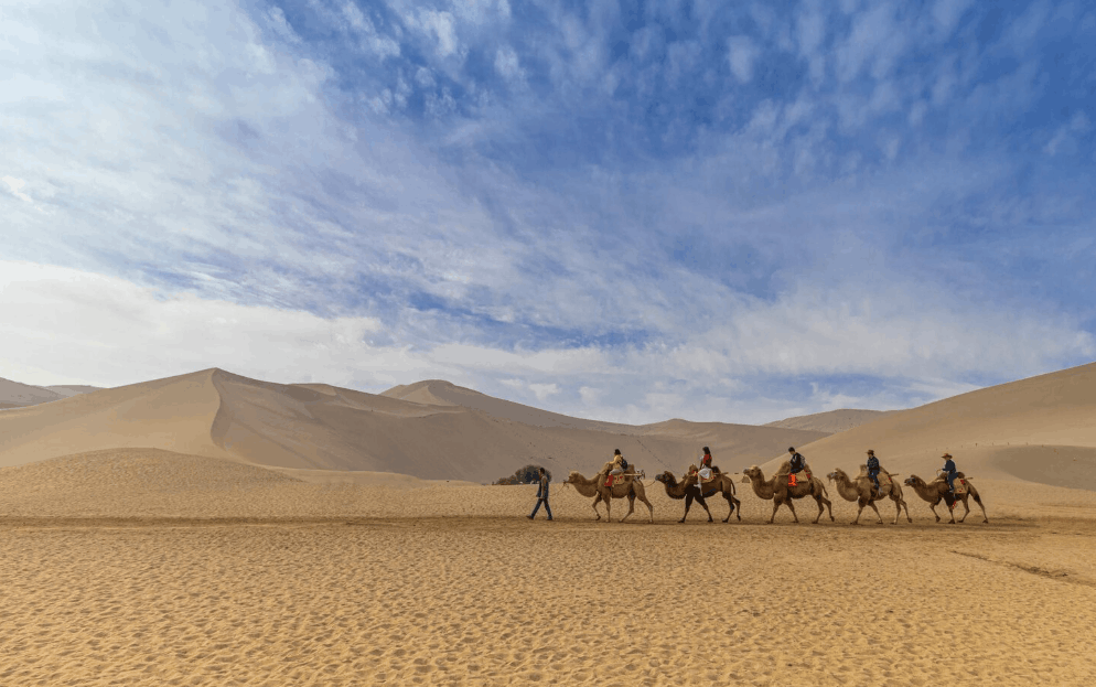 Desert safari camel ride at sunset Dubai — book UAE desert tour tickets online with First Fly
