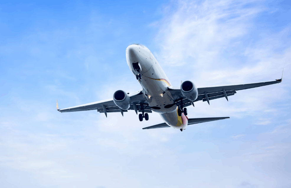 Visa consultant helping client apply for worldwide visa in Dubai UAE